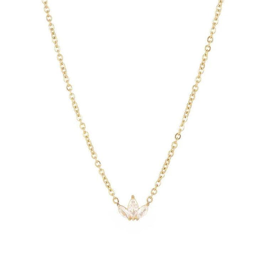 COLAR CISNE