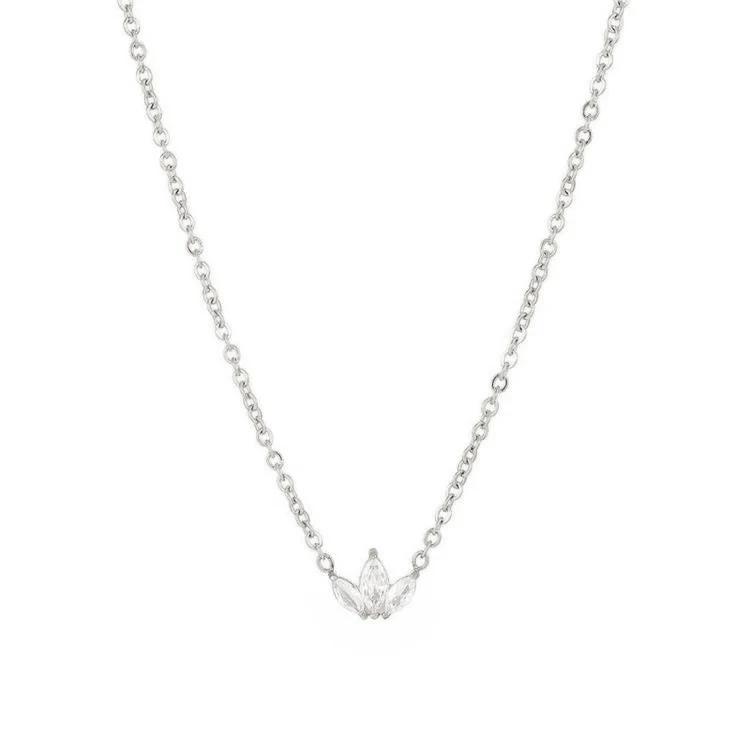 COLAR CISNE